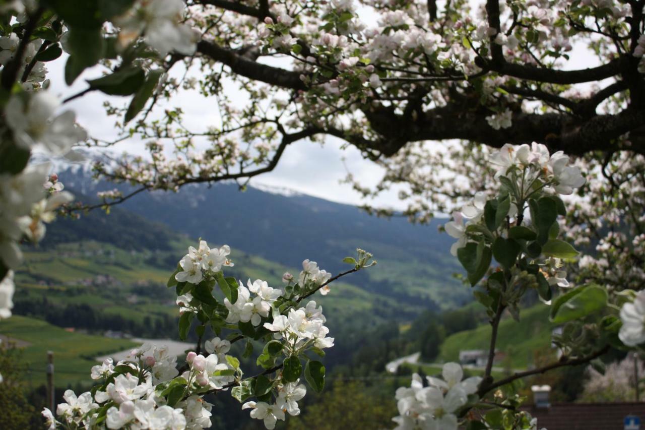 Stolznhof Διαμέρισμα Schönberg im Stubaital Εξωτερικό φωτογραφία